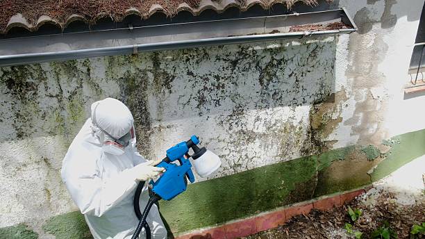 Top rated local Mold Remediation specialists in Concord, PA